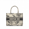 Medium Dior Book Tote