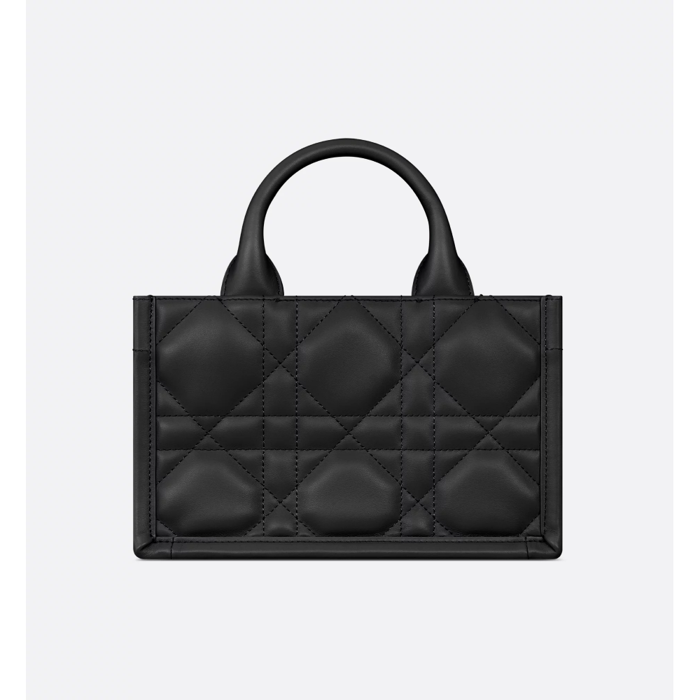 Mini Dior Book Tote