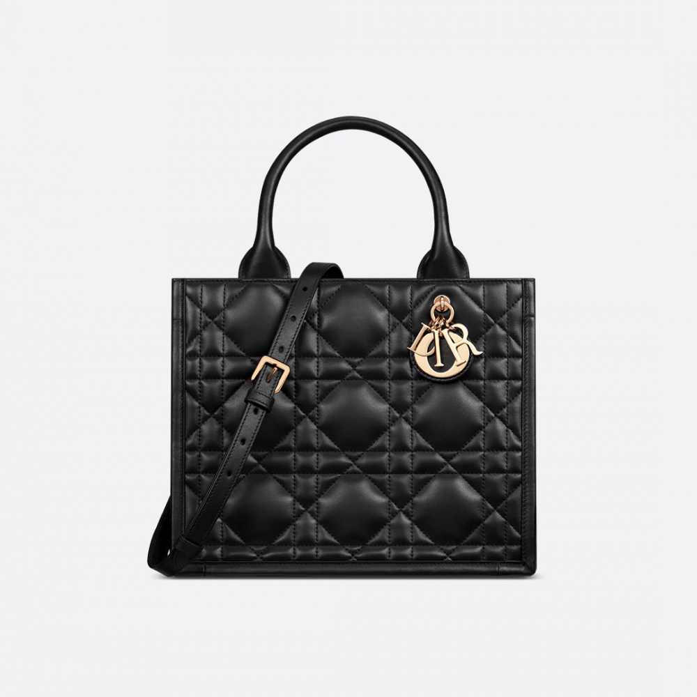 Small Dior Book Tote Small Dior Book Tote