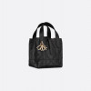 Mini Dior Toujours Vertical Handbag