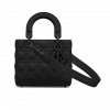 Small Lady Dior My Abcdior Bag