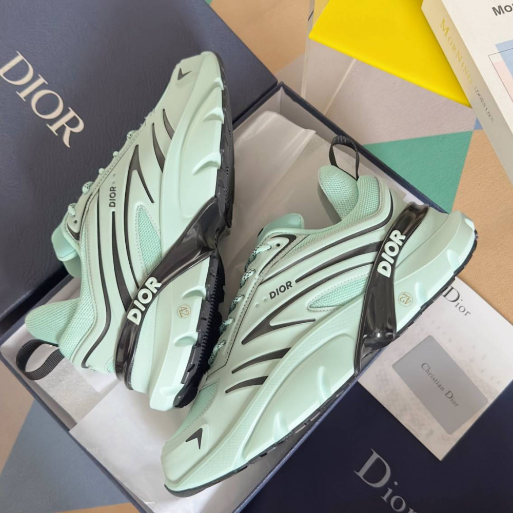 DIOR B44
