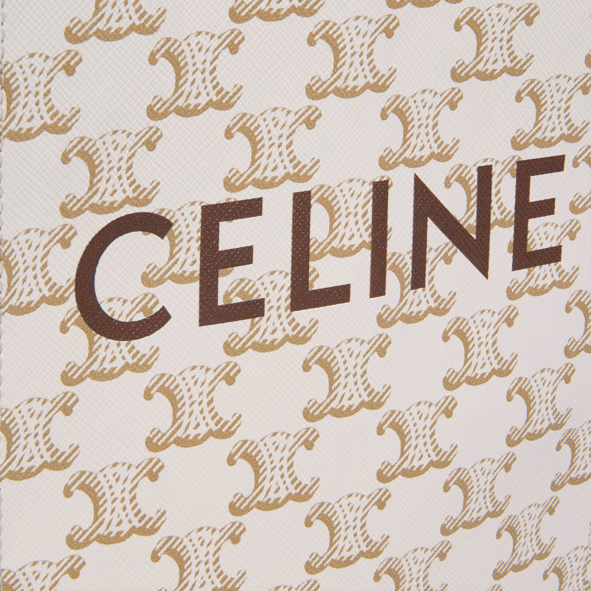 Mini Vertical Cabas In Triomphe Canvas With Celine Print Mini Vertical Cabas In Triomphe Canvas With Celine Print